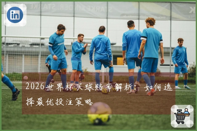 2026世界杯买球赔率解析：如何选择最优投注策略