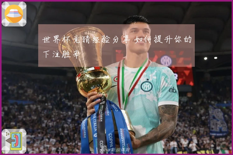 世界杯竞猜经验分享 如何提升你的下注胜率