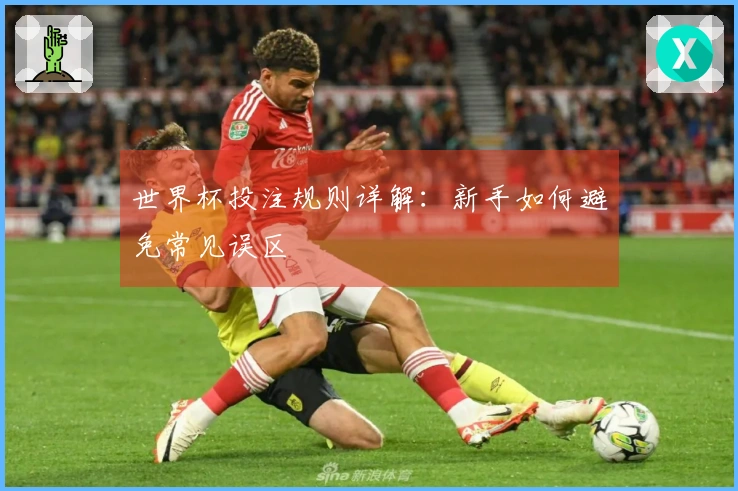 世界杯投注规则详解：新手如何避免常见误区